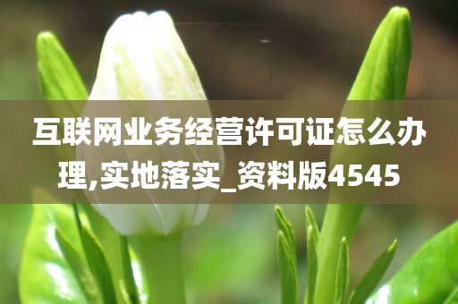 互联网业务经营许可证怎么办理,实地落实_资料版4545