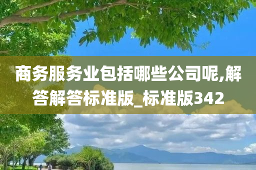 商务服务业包括哪些公司呢,解答解答标准版_标准版342