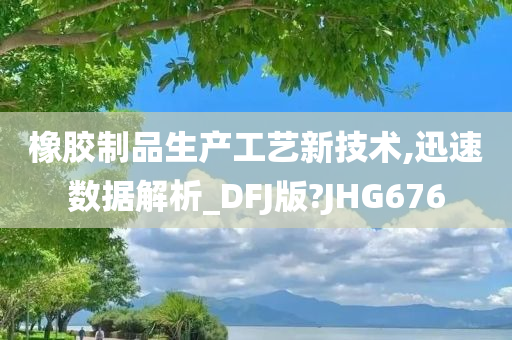 橡胶制品生产工艺新技术,迅速数据解析_DFJ版?JHG676