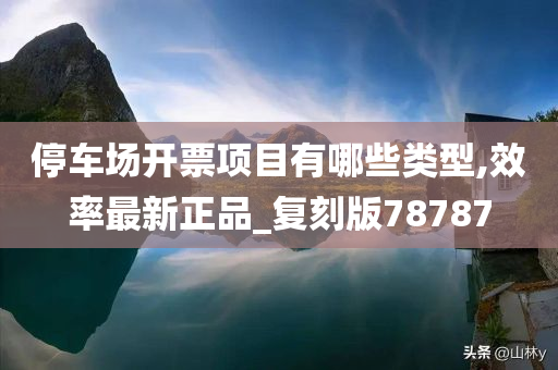 停车场开票项目有哪些类型,效率最新正品_复刻版78787