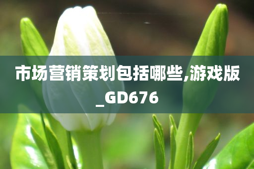 市场营销策划包括哪些,游戏版_GD676