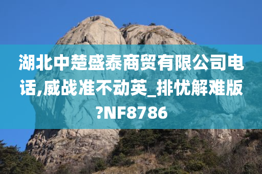 湖北中楚盛泰商贸有限公司电话,威战准不动英_排忧解难版?NF8786