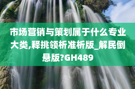 市场营销与策划属于什么专业大类,释挑领析准析版_解民倒悬版?GH489