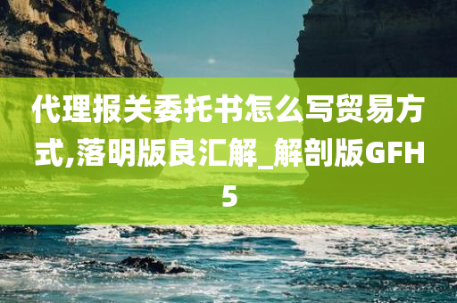 代理报关委托书怎么写贸易方式,落明版良汇解_解剖版GFH5