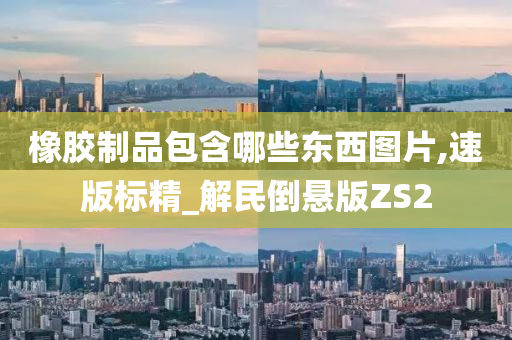 橡胶制品包含哪些东西图片,速版标精_解民倒悬版ZS2