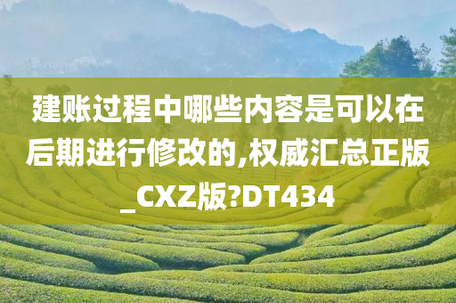 建账过程中哪些内容是可以在后期进行修改的,权威汇总正版_CXZ版?DT434