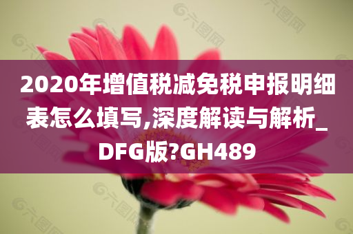 2020年增值税减免税申报明细表怎么填写,深度解读与解析_DFG版?GH489