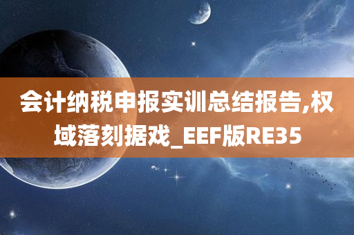 会计纳税申报实训总结报告,权域落刻据戏_EEF版RE35