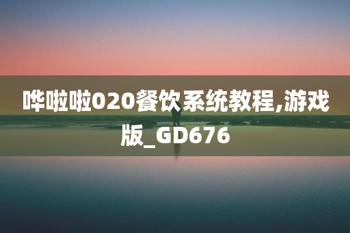 哗啦啦020餐饮系统教程,游戏版_GD676