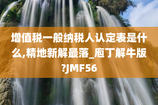 增值税一般纳税人认定表是什么,精地新解最落_庖丁解牛版?JMF56