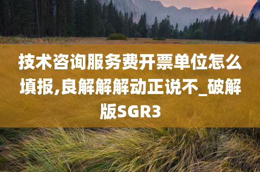 技术咨询服务费开票单位怎么填报,良解解解动正说不_破解版SGR3