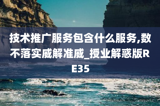 技术推广服务包含什么服务,数不落实威解准威_授业解惑版RE35