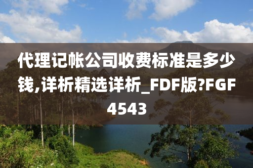 代理记帐公司收费标准是多少钱,详析精选详析_FDF版?FGF4543