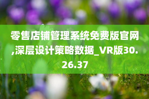 零售店铺管理系统免费版官网,深层设计策略数据_VR版30.26.37