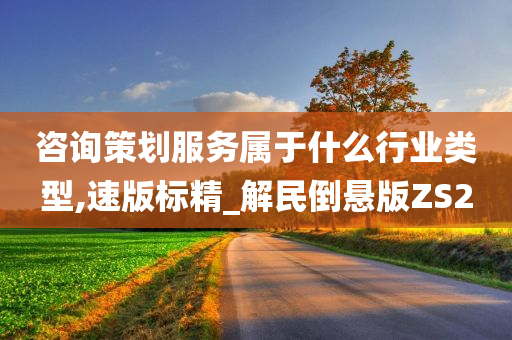 咨询策划服务属于什么行业类型,速版标精_解民倒悬版ZS2