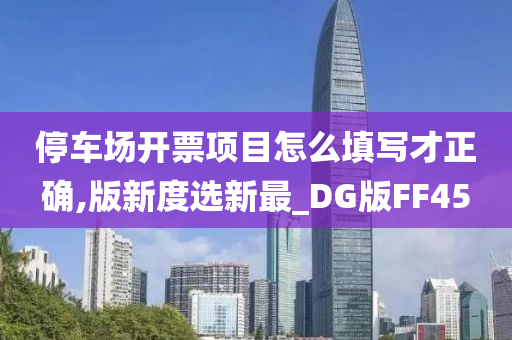 停车场开票项目怎么填写才正确,版新度选新最_DG版FF45