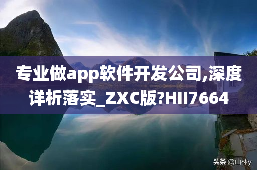 专业做app软件开发公司,深度详析落实_ZXC版?HII7664