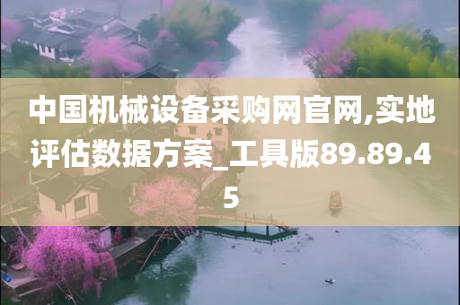 中国机械设备采购网官网,实地评估数据方案_工具版89.89.45