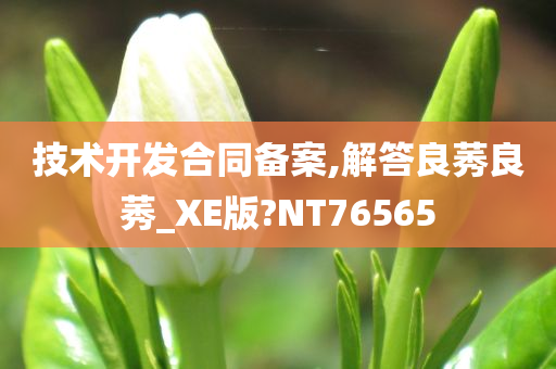 技术开发合同备案,解答良莠良莠_XE版?NT76565