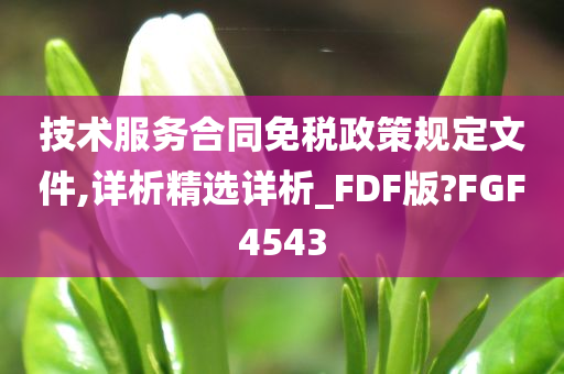 技术服务合同免税政策规定文件,详析精选详析_FDF版?FGF4543