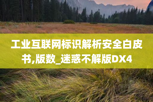 工业互联网标识解析安全白皮书,版数_迷惑不解版DX4