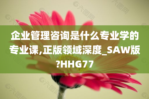 企业管理咨询是什么专业学的专业课,正版领域深度_SAW版?HHG77