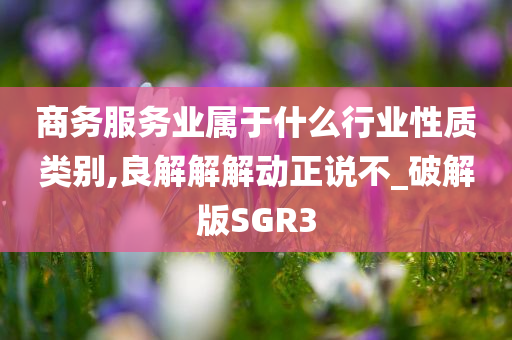 商务服务业属于什么行业性质类别,良解解解动正说不_破解版SGR3