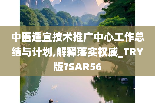 中医适宜技术推广中心工作总结与计划,解释落实权威_TRY版?SAR56