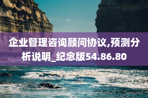 企业管理咨询顾问协议,预测分析说明_纪念版54.86.80