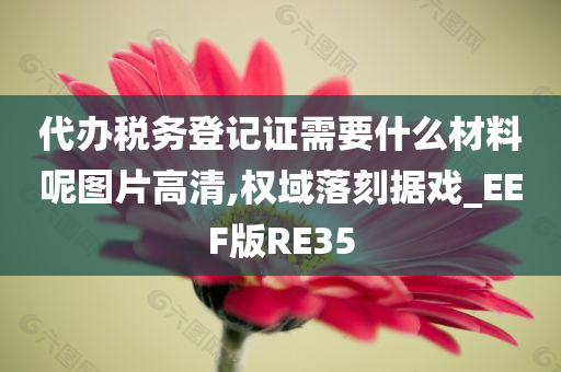 代办税务登记证需要什么材料呢图片高清,权域落刻据戏_EEF版RE35