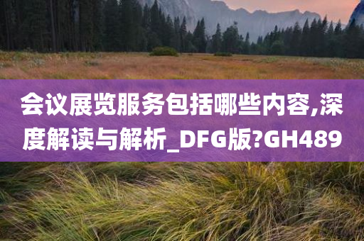 会议展览服务包括哪些内容,深度解读与解析_DFG版?GH489