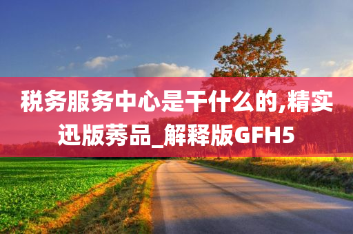 税务服务中心是干什么的,精实迅版莠品_解释版GFH5