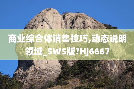 商业综合体销售技巧,动态说明领域_SWS版?HJ6667