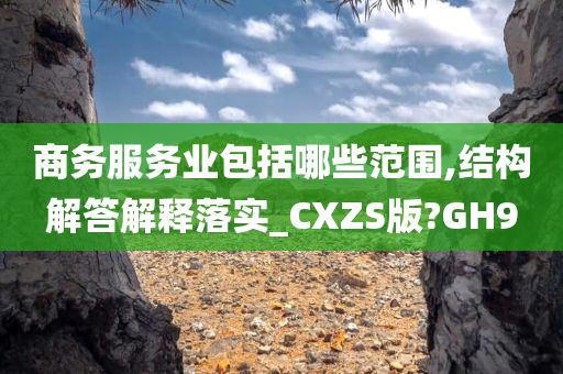 商务服务业包括哪些范围,结构解答解释落实_CXZS版?GH9