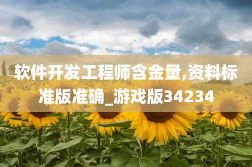 软件开发工程师含金量,资料标准版准确_游戏版34234