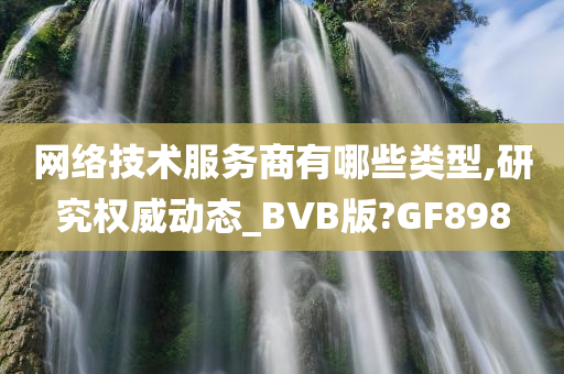 网络技术服务商有哪些类型,研究权威动态_BVB版?GF898