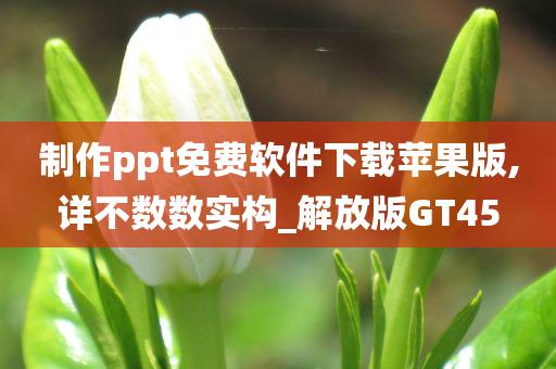 制作ppt免费软件下载苹果版,详不数数实构_解放版GT45