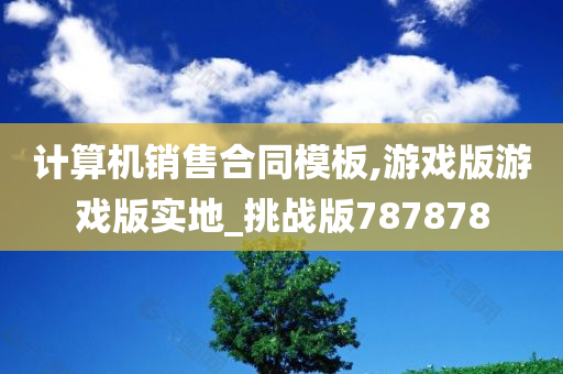 计算机销售合同模板,游戏版游戏版实地_挑战版787878