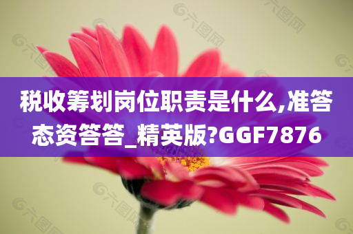 税收筹划岗位职责是什么,准答态资答答_精英版?GGF7876