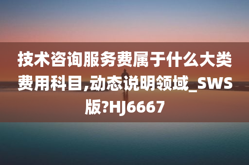 技术咨询服务费属于什么大类费用科目,动态说明领域_SWS版?HJ6667