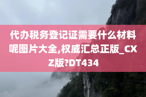 代办税务登记证需要什么材料呢图片大全,权威汇总正版_CXZ版?DT434