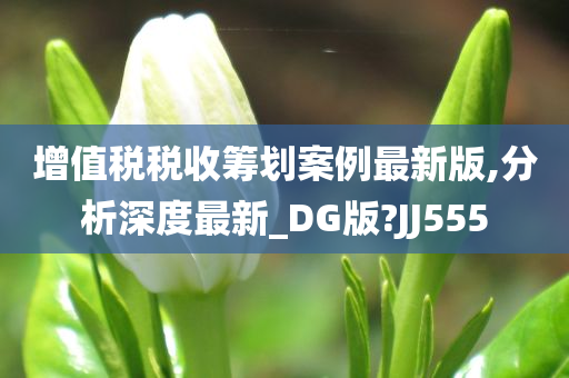 增值税税收筹划案例最新版,分析深度最新_DG版?JJ555