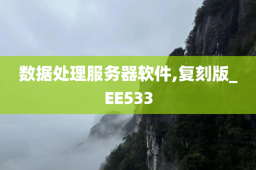 数据处理服务器软件,复刻版_EE533