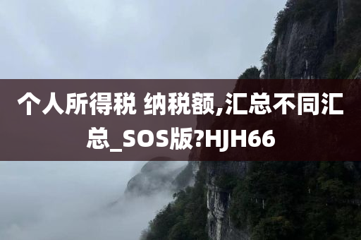 个人所得税 纳税额,汇总不同汇总_SOS版?HJH66