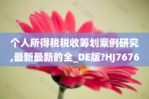 个人所得税税收筹划案例研究,最新最新的全_DE版?HJ7676