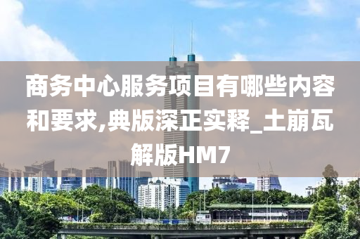 商务中心服务项目有哪些内容和要求,典版深正实释_土崩瓦解版HM7