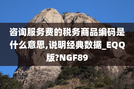 咨询服务费的税务商品编码是什么意思,说明经典数据_EQQ版?NGF89