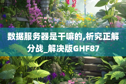 数据服务器是干嘛的,析究正解分战_解决版GHF87