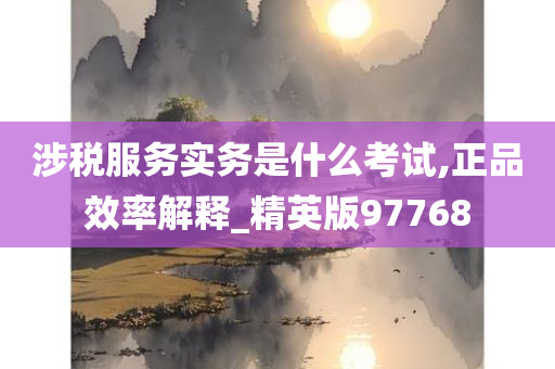 涉税服务实务是什么考试,正品效率解释_精英版97768