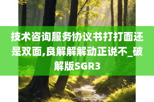 技术咨询服务协议书打打面还是双面,良解解解动正说不_破解版SGR3